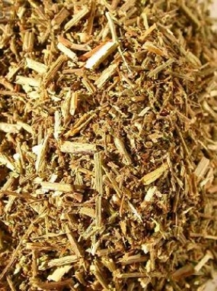 Verbena officinalis - Vervain